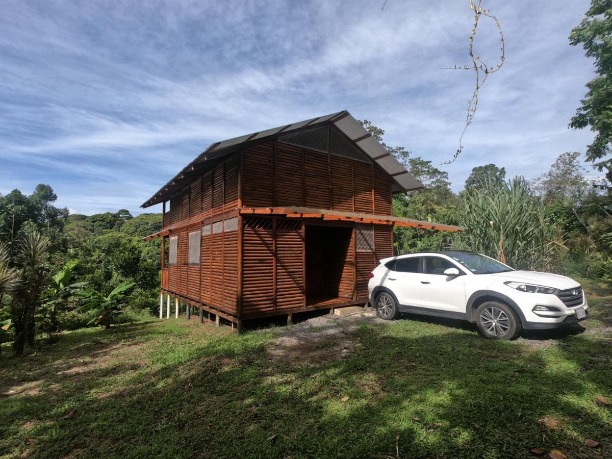 Eco Guest House - Sarapiqui 1 ภายนอก รูปภาพ