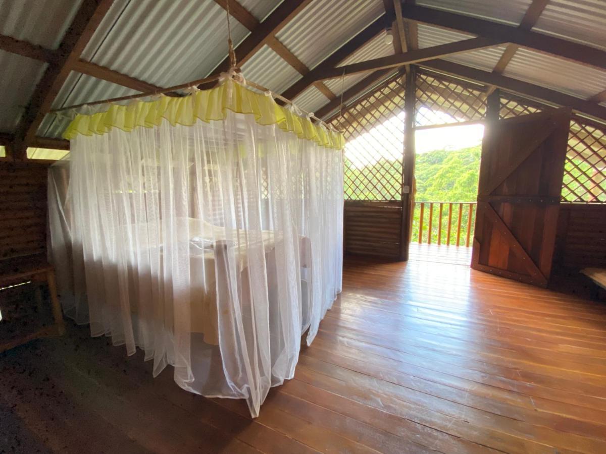 Eco Guest House - Sarapiqui 1 ภายนอก รูปภาพ