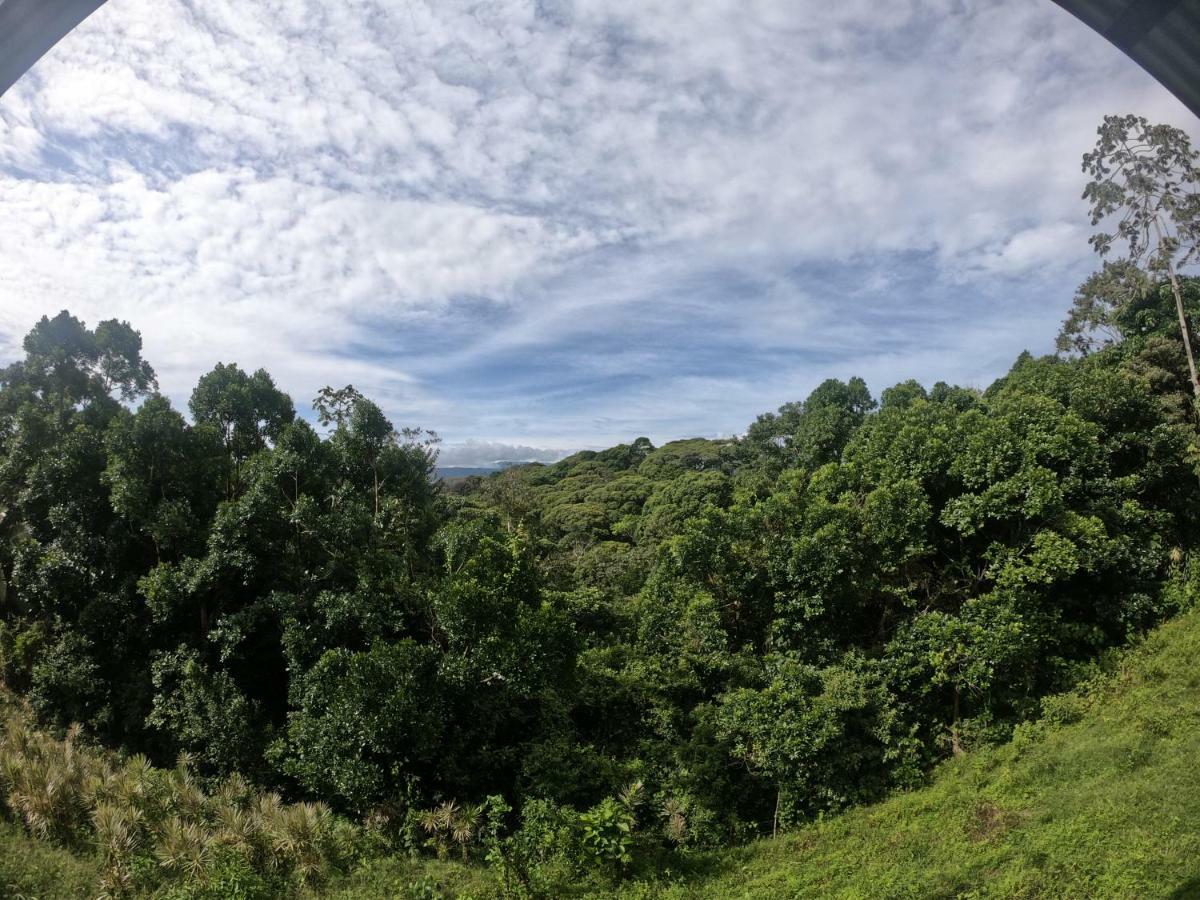 Eco Guest House - Sarapiqui 1 ภายนอก รูปภาพ